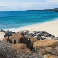 How Much Money Can Be Saved by Using Renewable Energy Sources in Molokai, Hawaii?