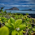 Harnessing Renewable Energy to Reduce Air Pollution in Molokai, Hawaii