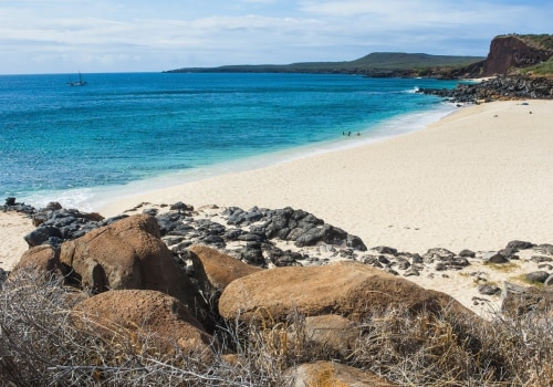 How Much Money Can Be Saved by Using Renewable Energy Sources in Molokai, Hawaii?