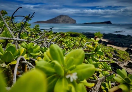 Harnessing Renewable Energy to Reduce Air Pollution in Molokai, Hawaii